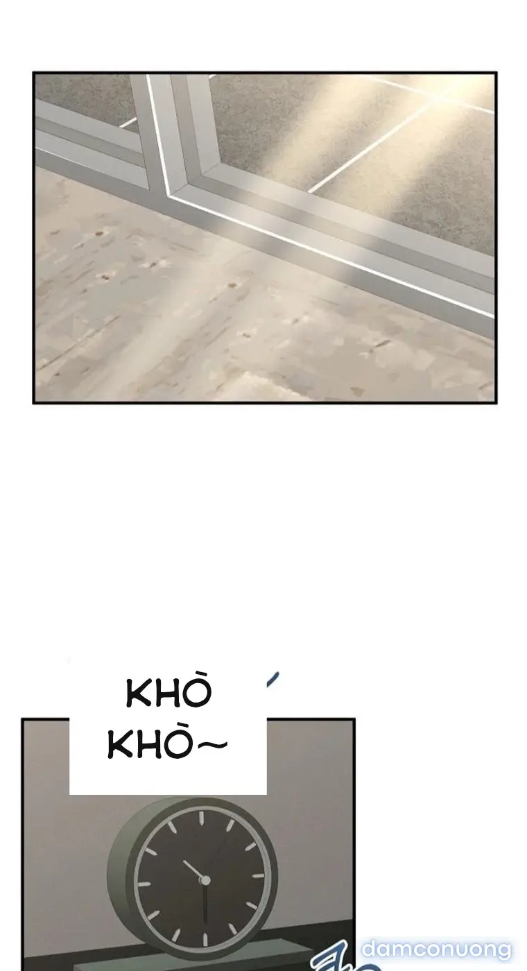 Trò chơi cờ bàn thú vị: 