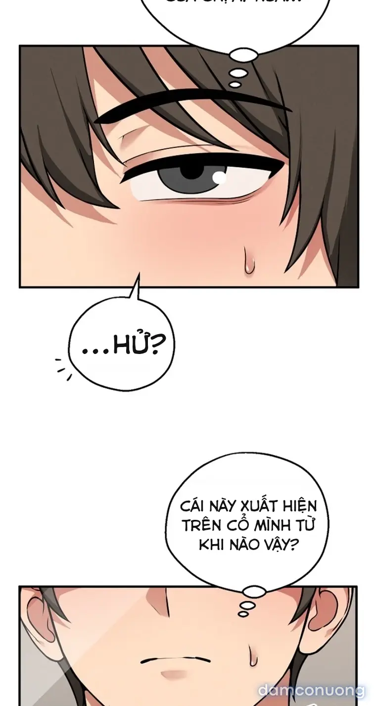 Trò chơi cờ bàn thú vị: 