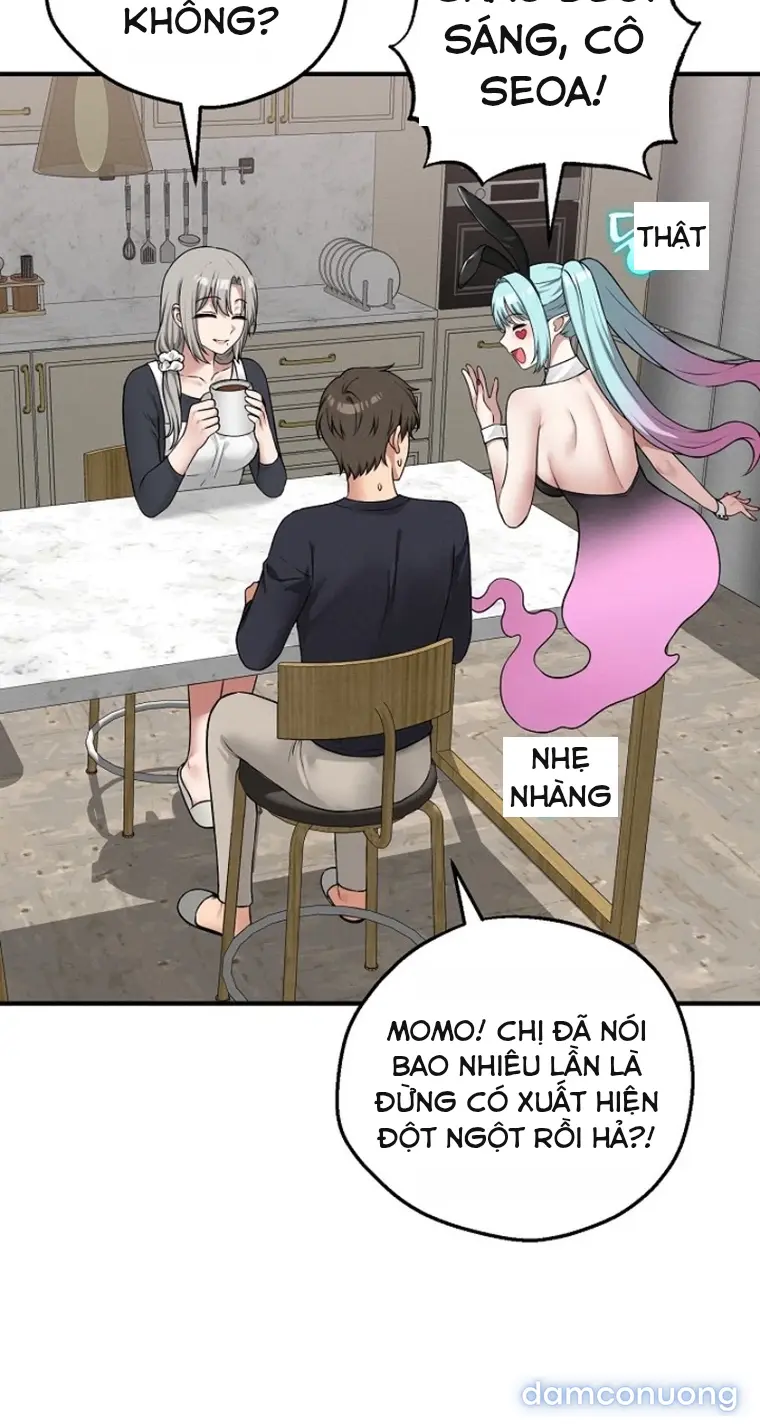 Trò chơi cờ bàn thú vị: 