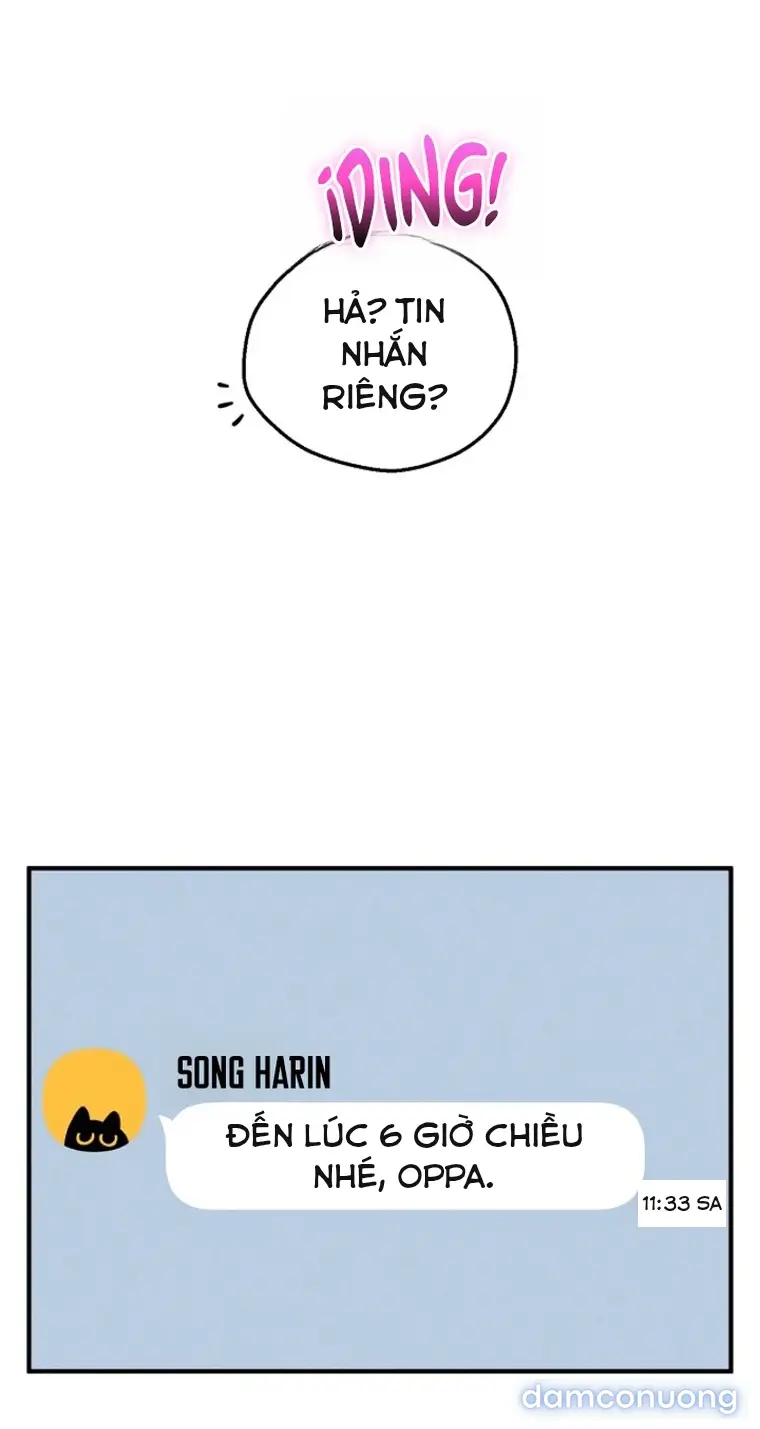 Trò chơi cờ bàn thú vị: 