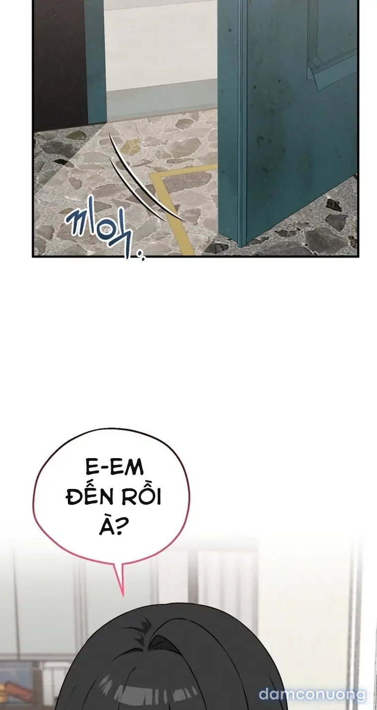 Trò chơi cờ bàn thú vị: 
