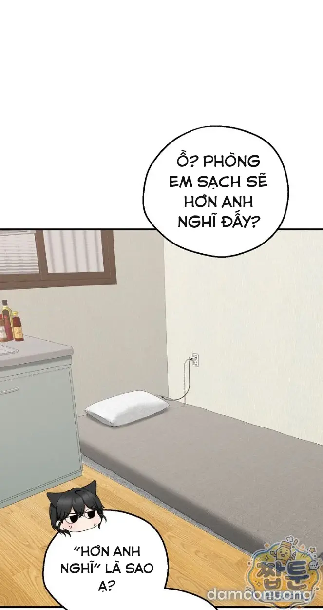 Trò chơi cờ bàn thú vị: 
