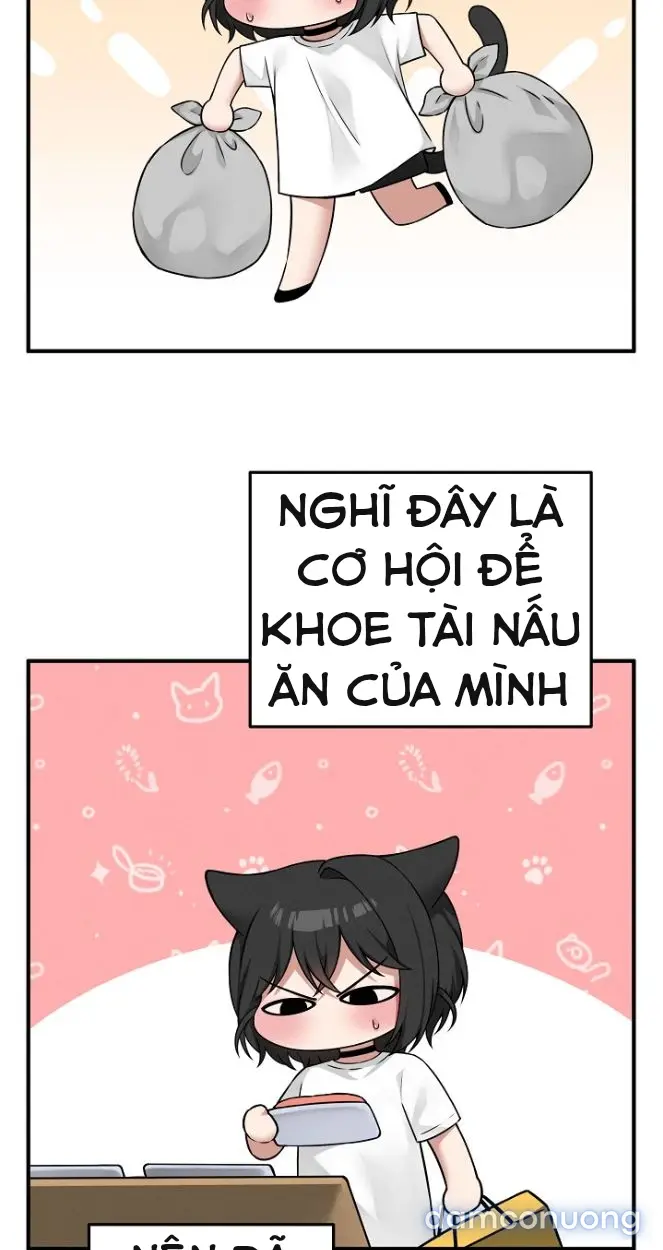 Trò chơi cờ bàn thú vị: 