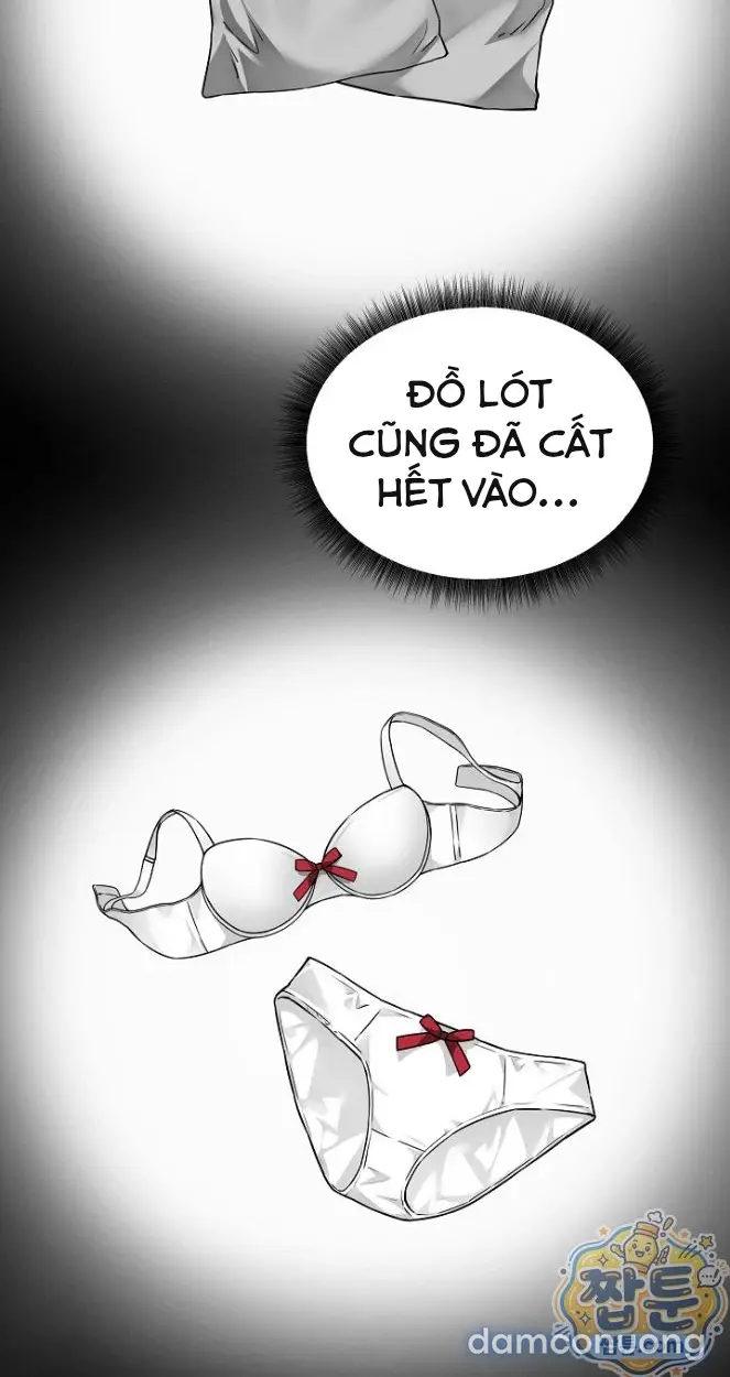 Trò chơi cờ bàn thú vị: 
