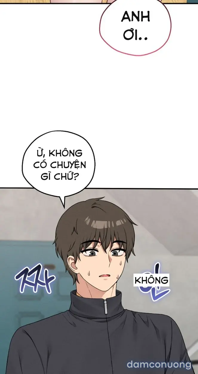 Trò chơi cờ bàn thú vị: 