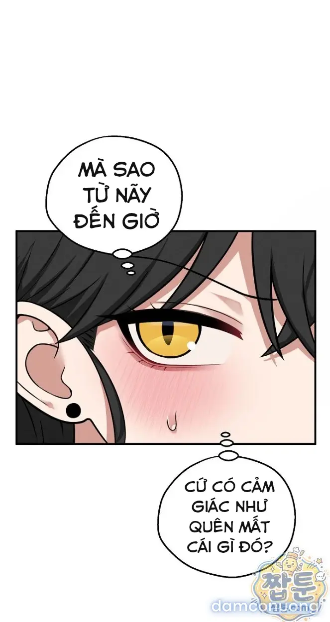 Trò chơi cờ bàn thú vị: 