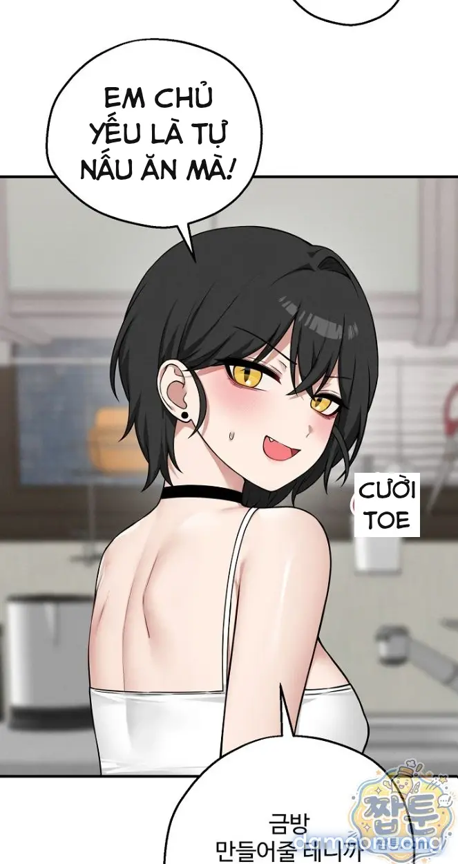 Trò chơi cờ bàn thú vị: 