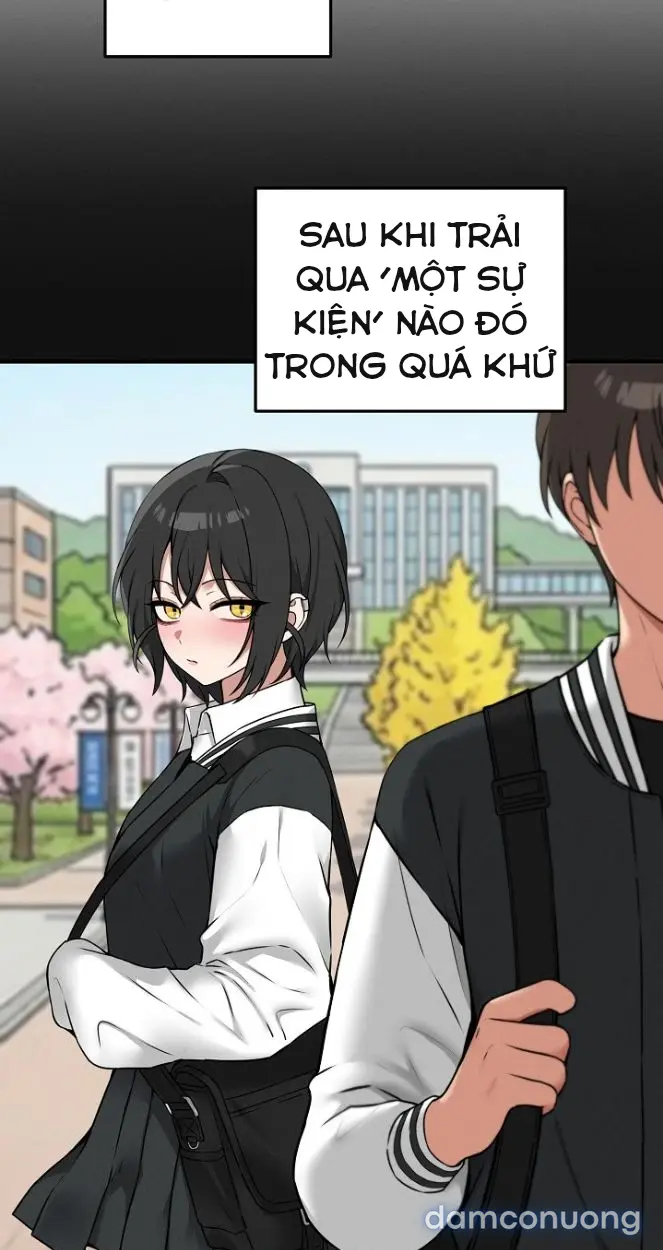 Trò chơi cờ bàn thú vị: 