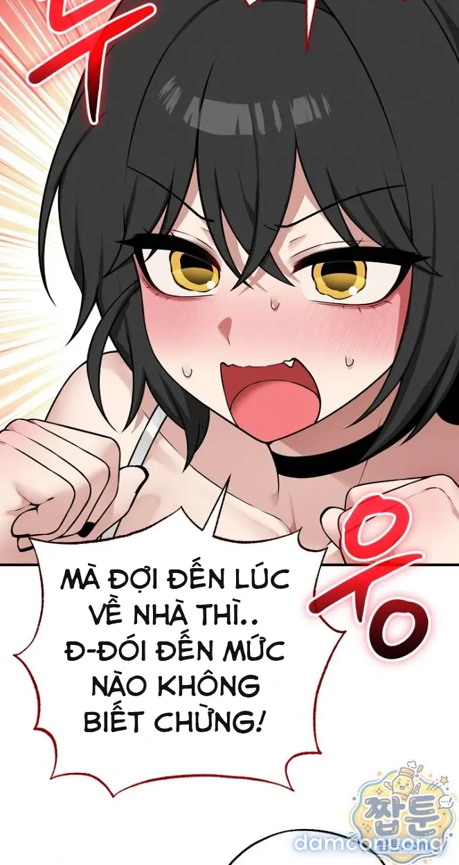 Trò chơi cờ bàn thú vị: 