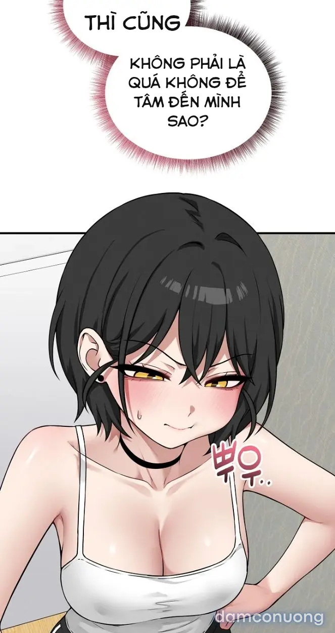 Trò chơi cờ bàn thú vị: 