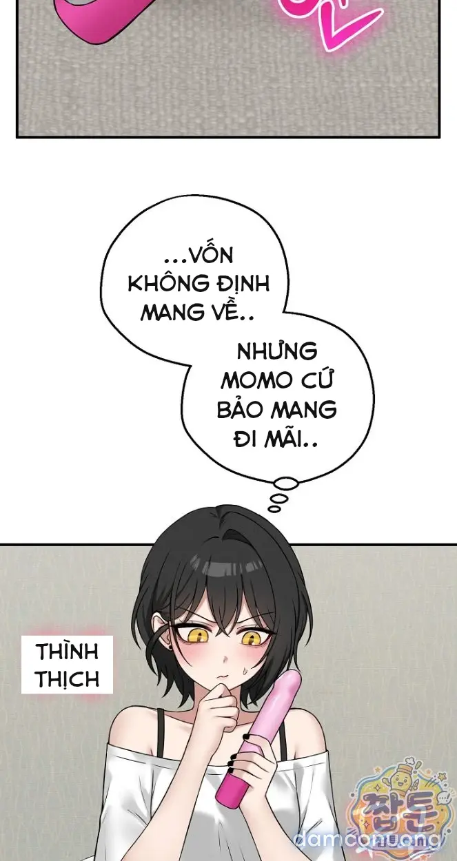 Trò chơi cờ bàn thú vị: 