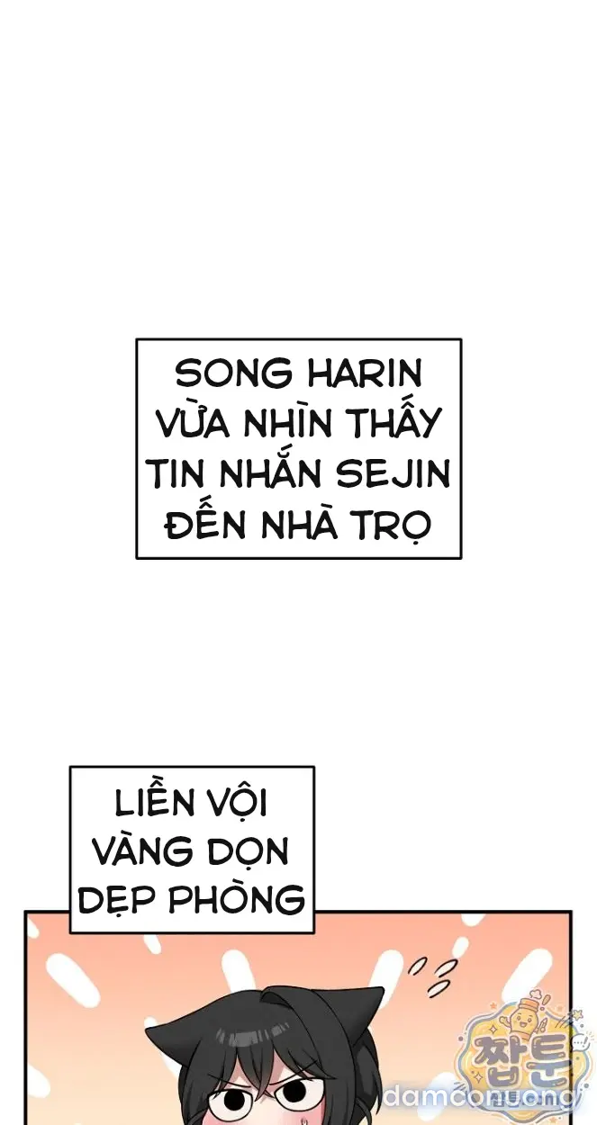 Trò chơi cờ bàn thú vị: 