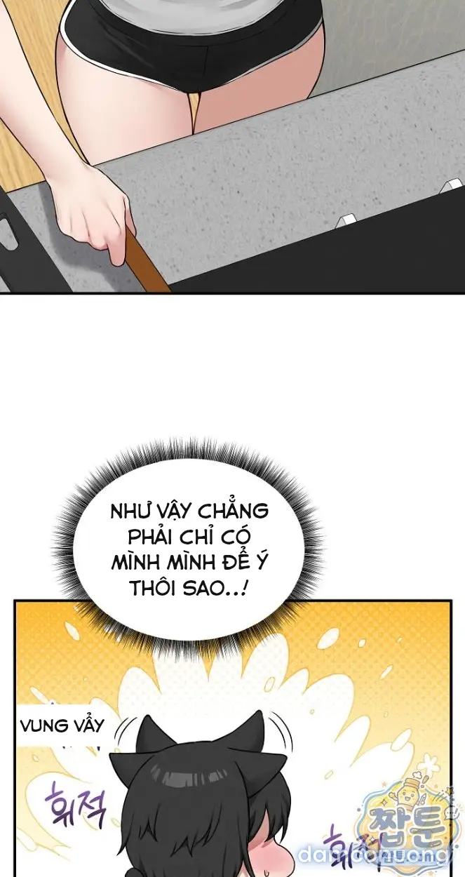 Trò chơi cờ bàn thú vị: 
