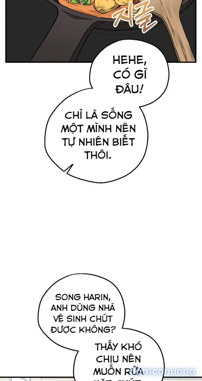 Trò chơi cờ bàn thú vị: 