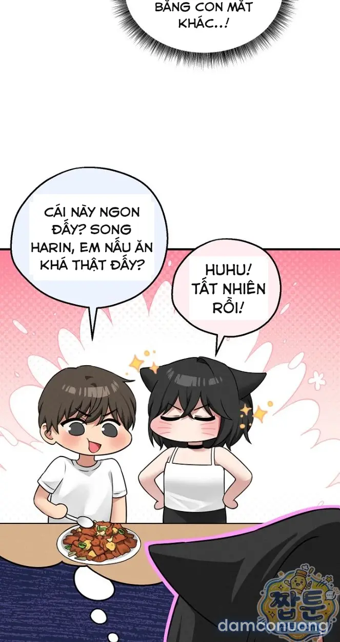 Trò chơi cờ bàn thú vị: 