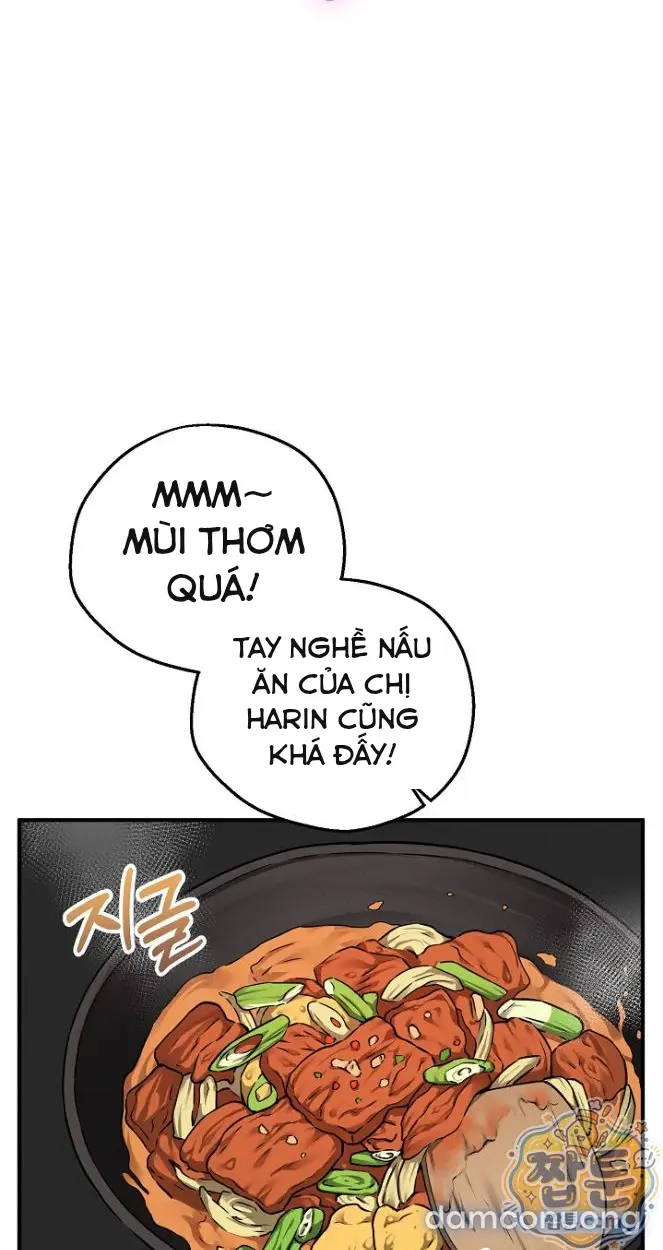 Trò chơi cờ bàn thú vị: 