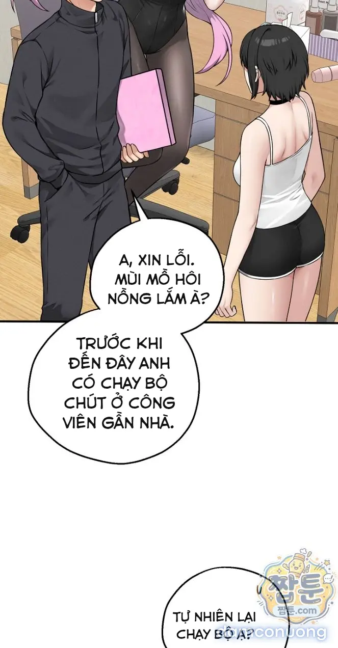 Trò chơi cờ bàn thú vị: 