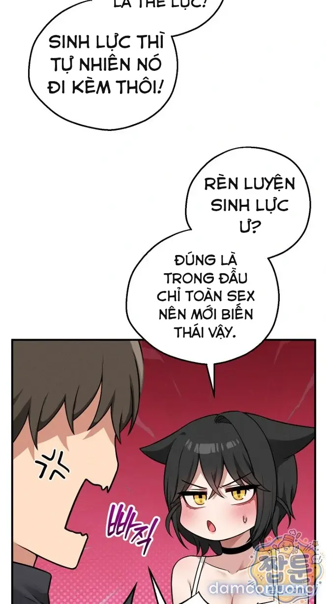 Trò chơi cờ bàn thú vị: 