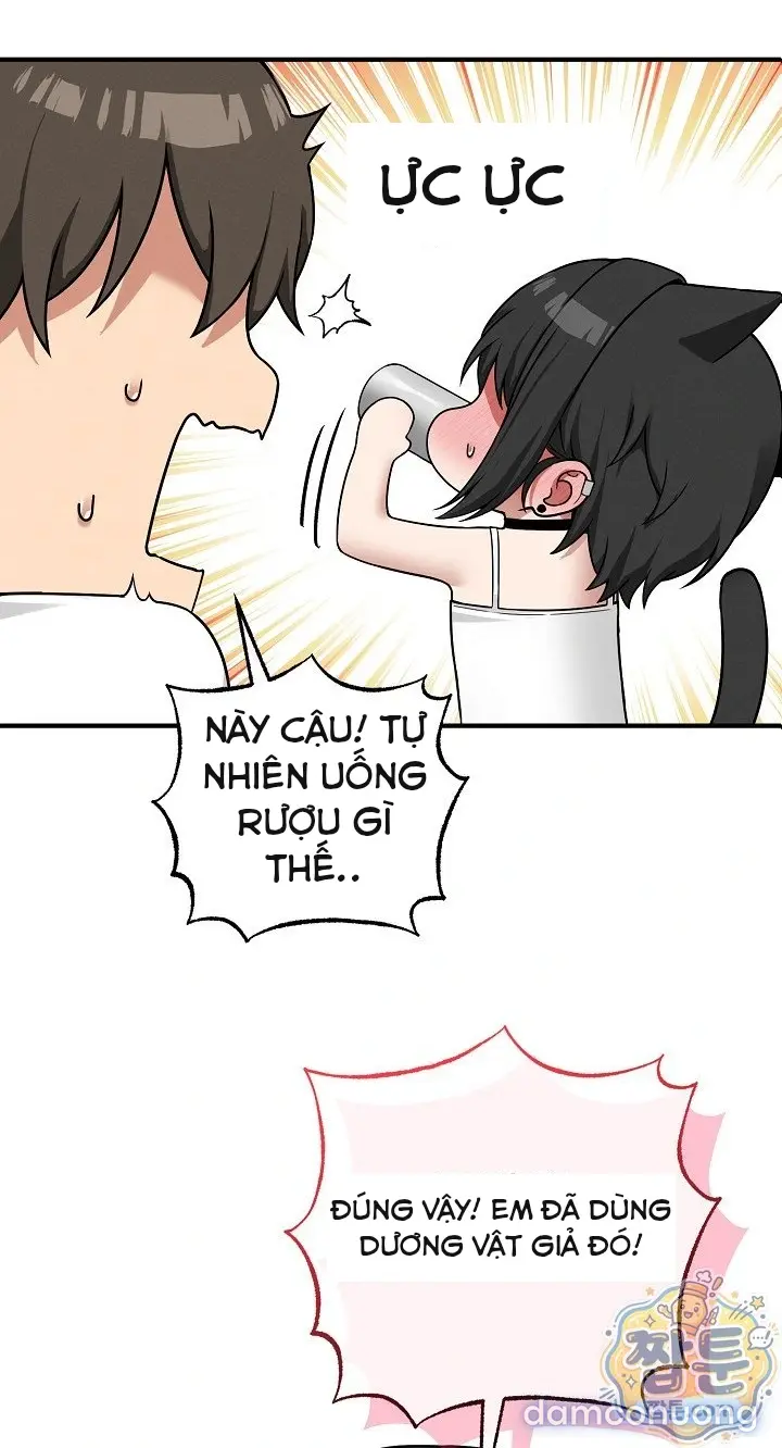 Trò chơi cờ bàn thú vị: 