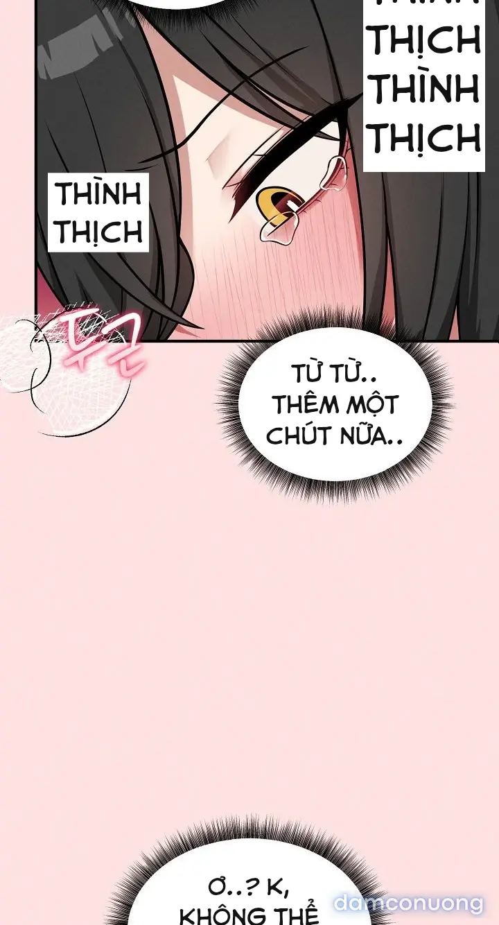 Trò chơi cờ bàn thú vị: 