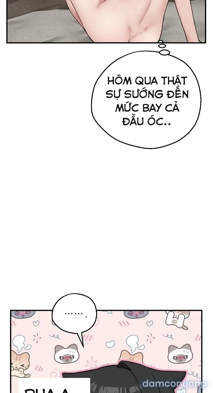 Trò chơi cờ bàn thú vị: 
