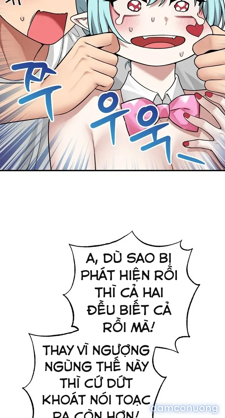 Trò chơi cờ bàn thú vị: 