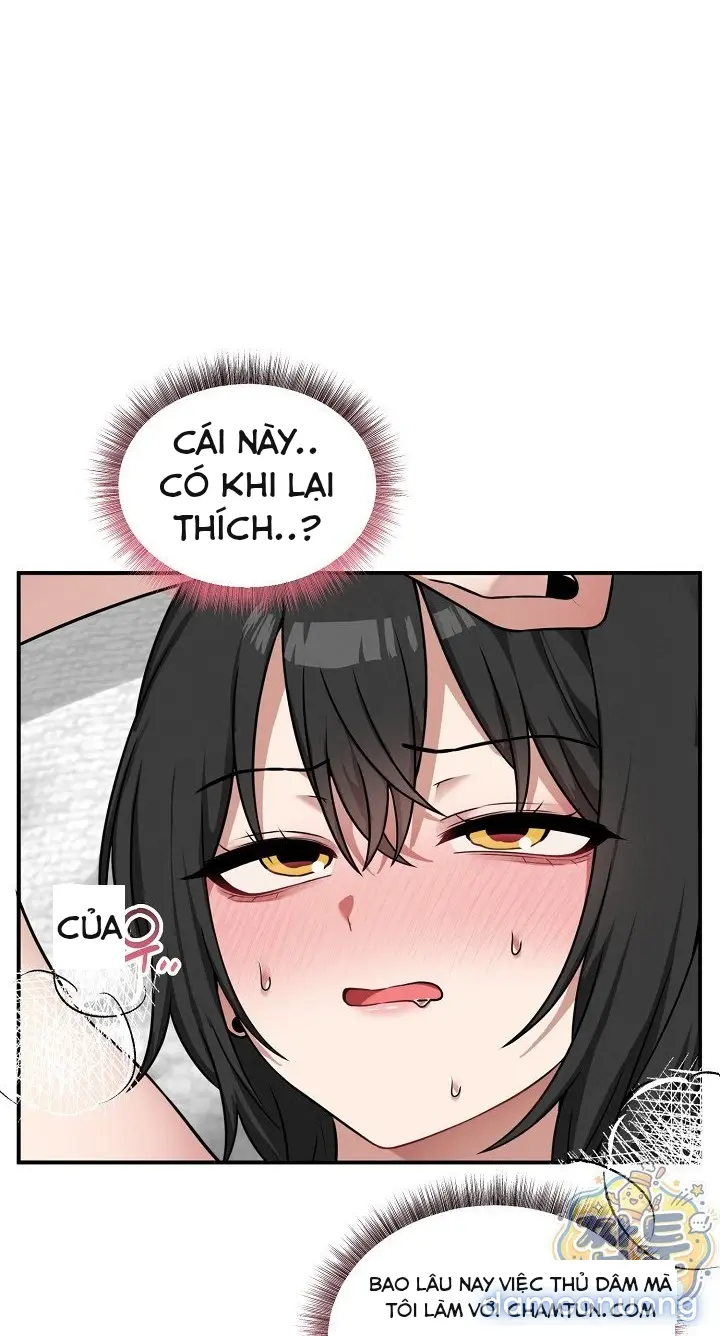 Trò chơi cờ bàn thú vị: 