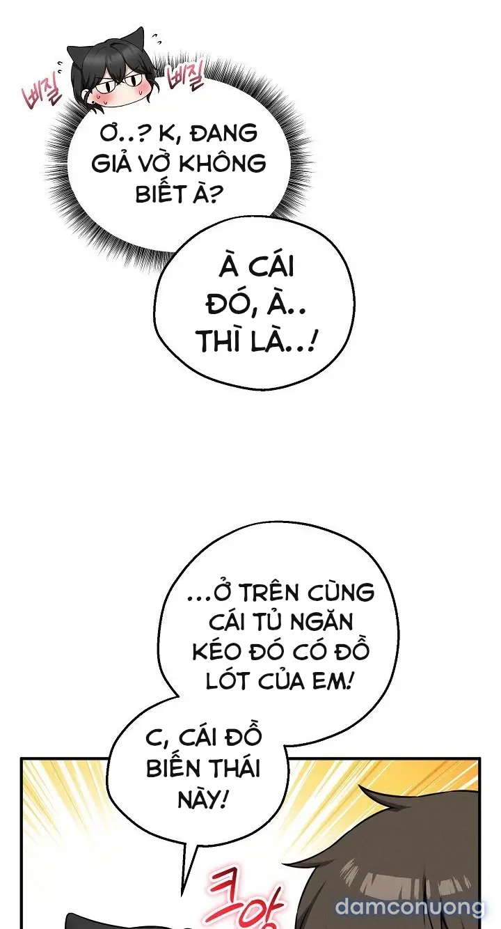 Trò chơi cờ bàn thú vị: 
