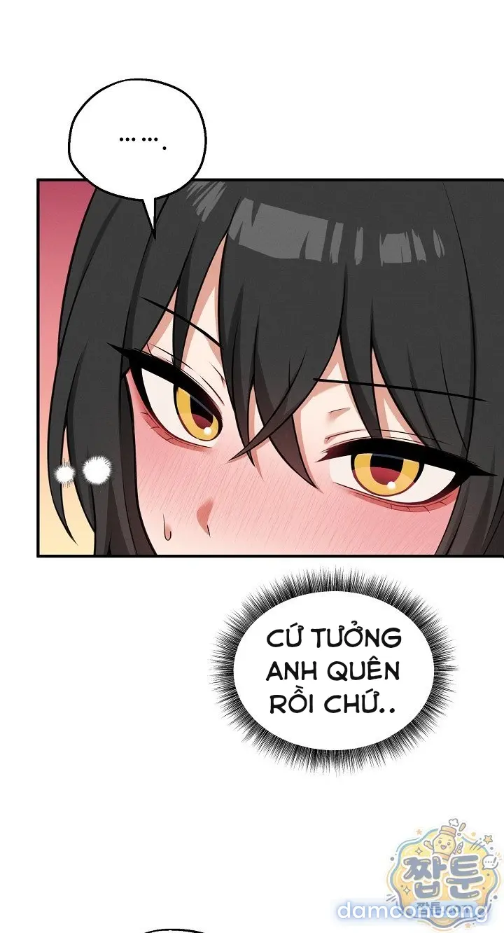 Trò chơi cờ bàn thú vị: 