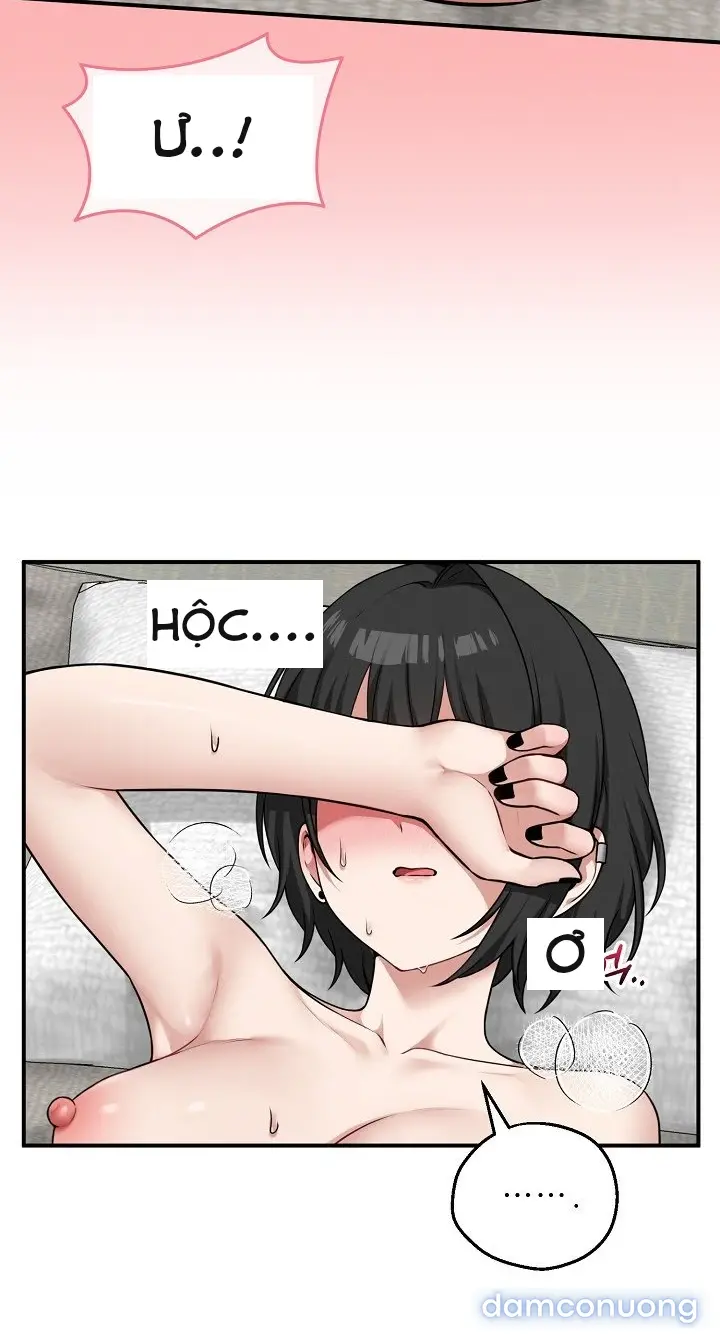 Trò chơi cờ bàn thú vị: 