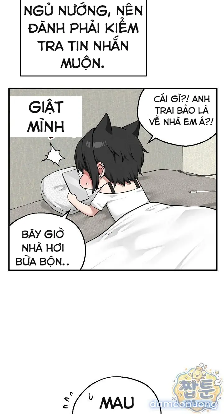 Trò chơi cờ bàn thú vị: 