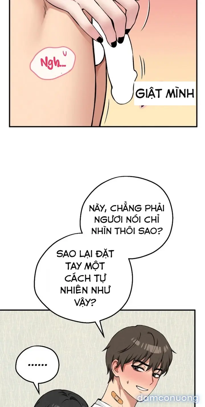 Trò chơi cờ bàn thú vị: 