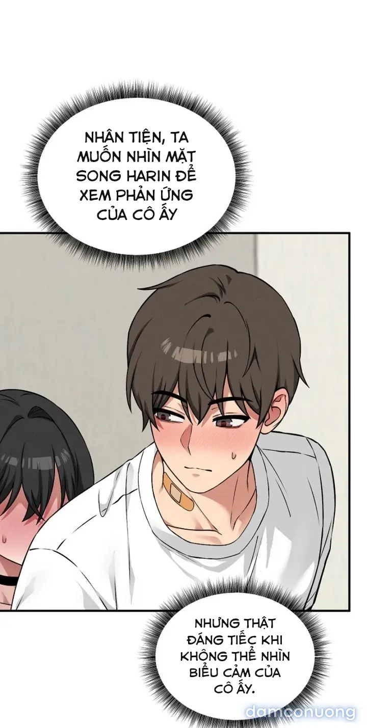 Trò chơi cờ bàn thú vị: 