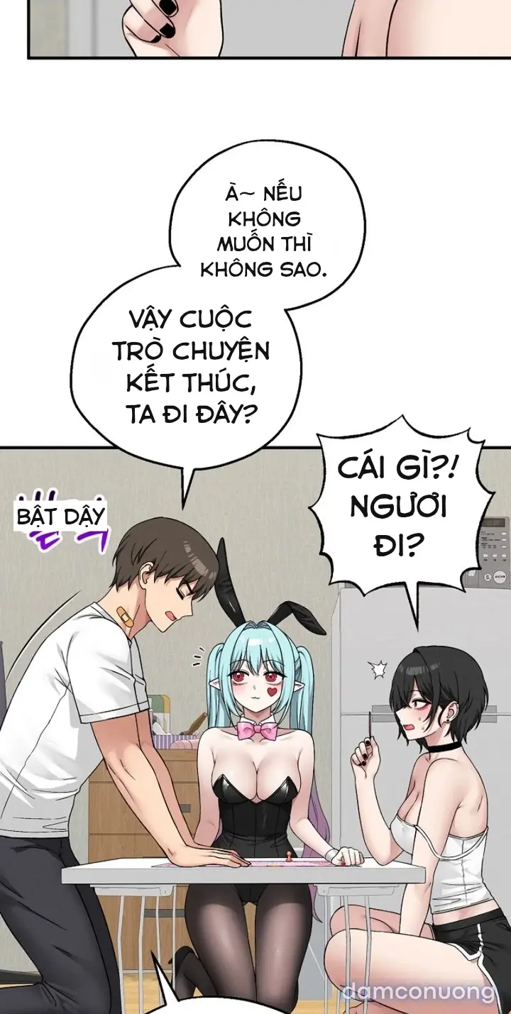 Trò chơi cờ bàn thú vị: 