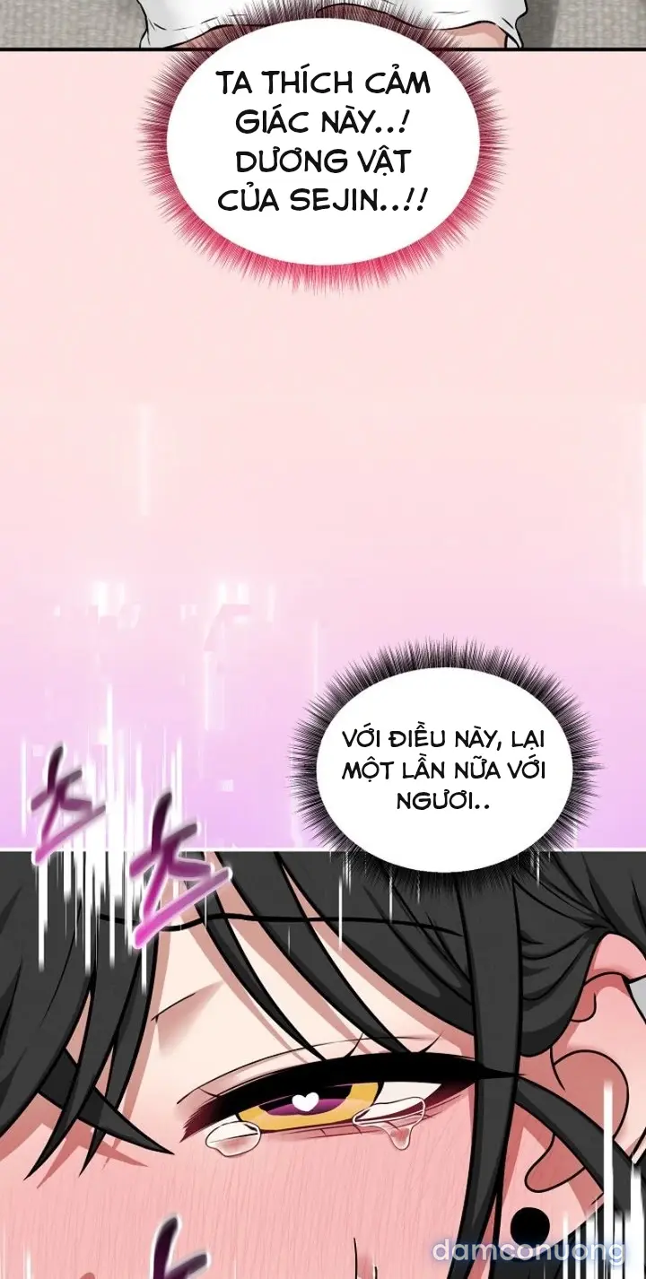 Trò chơi cờ bàn thú vị: 