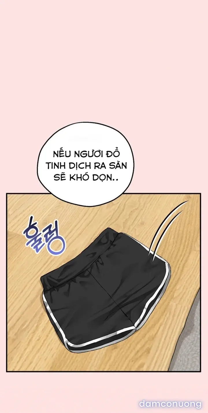 Trò chơi cờ bàn thú vị: 