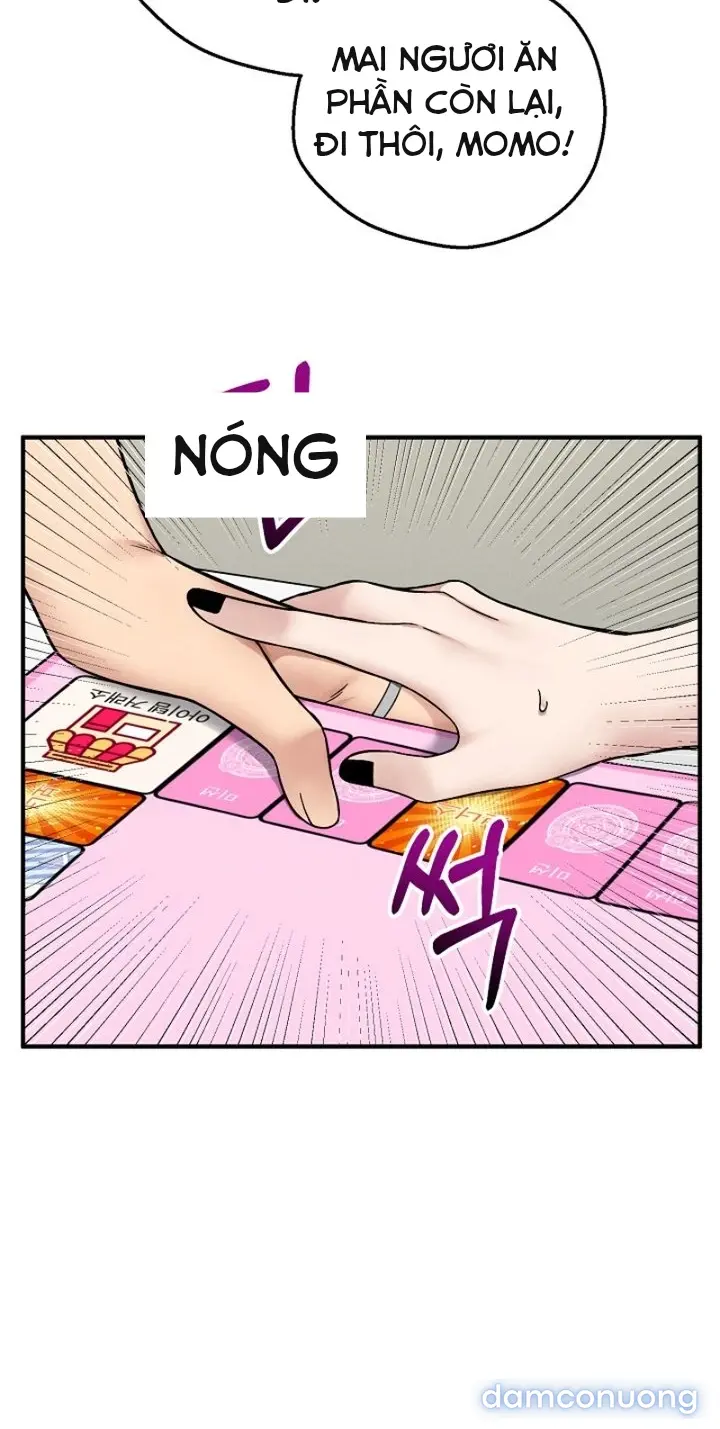 Trò chơi cờ bàn thú vị: 