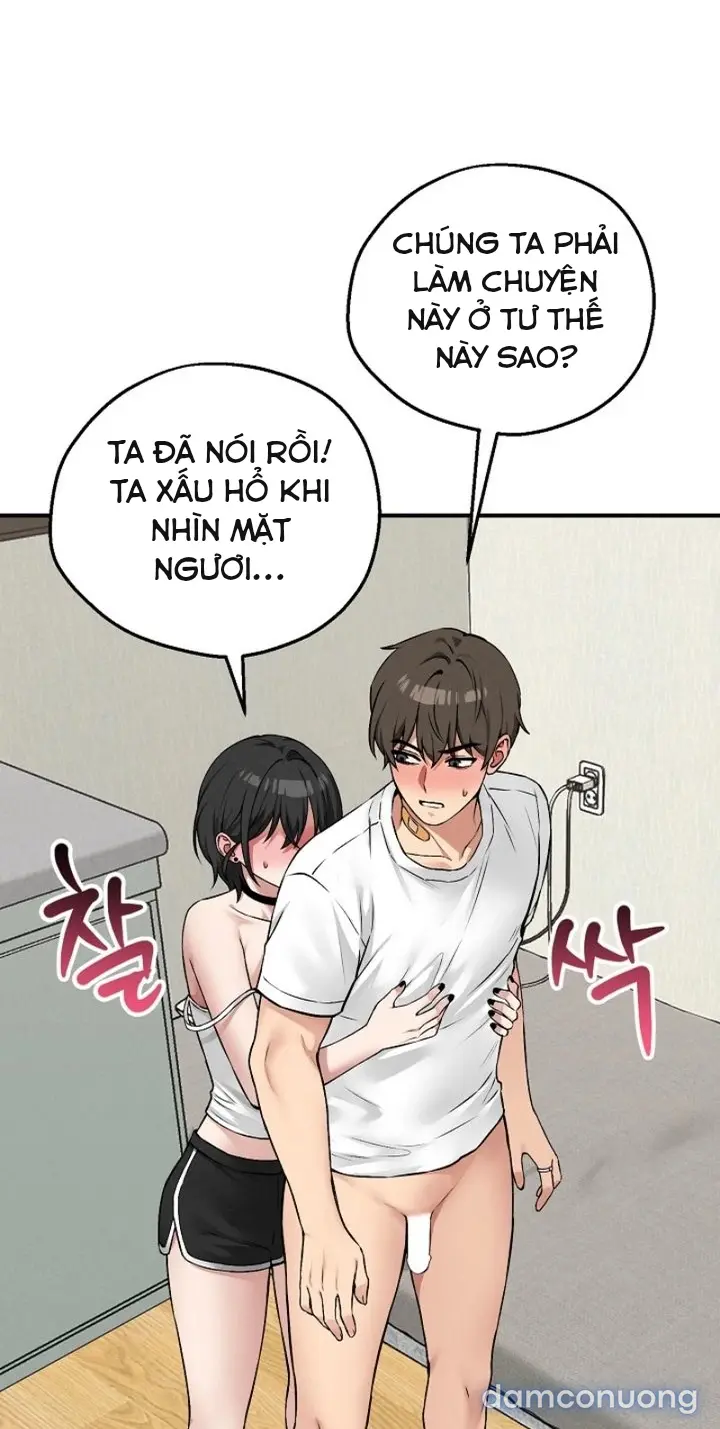 Trò chơi cờ bàn thú vị: 