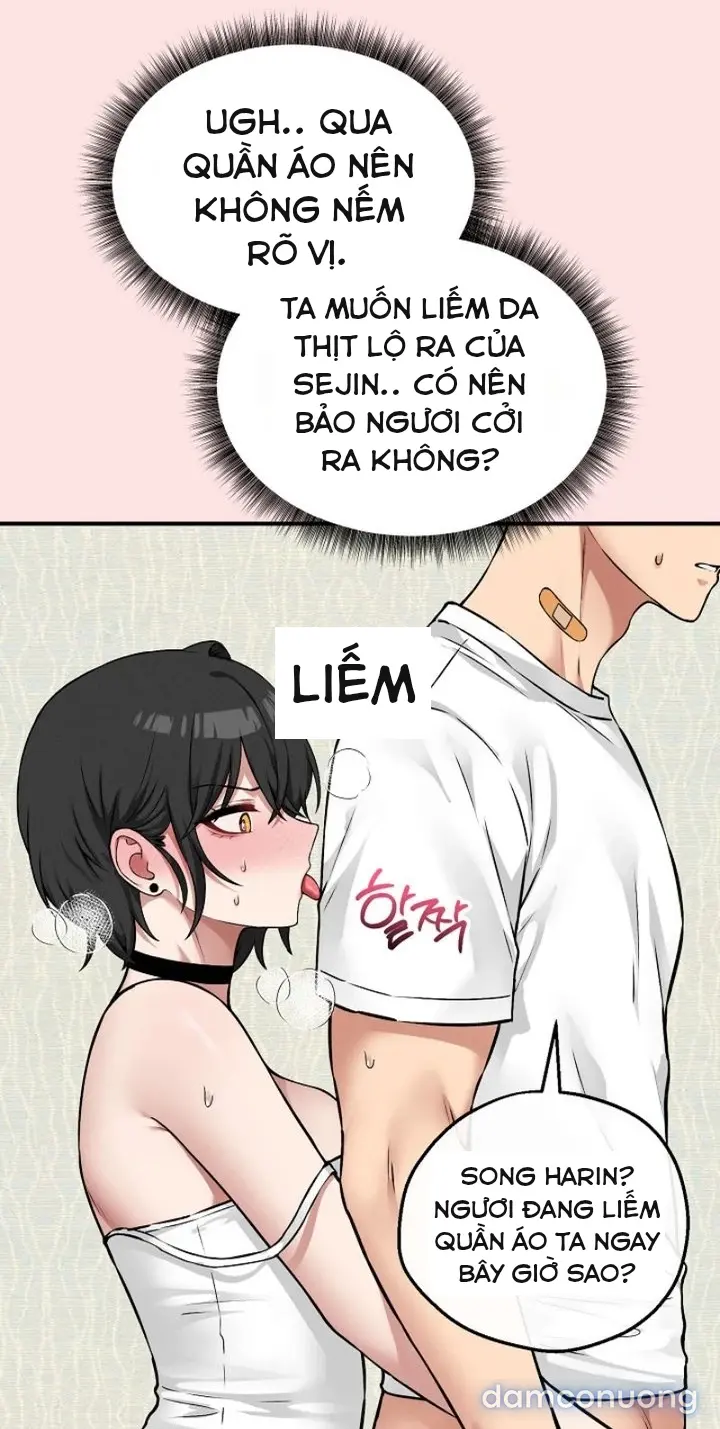 Trò chơi cờ bàn thú vị: 