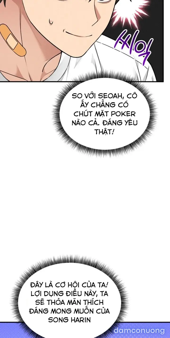 Trò chơi cờ bàn thú vị: 