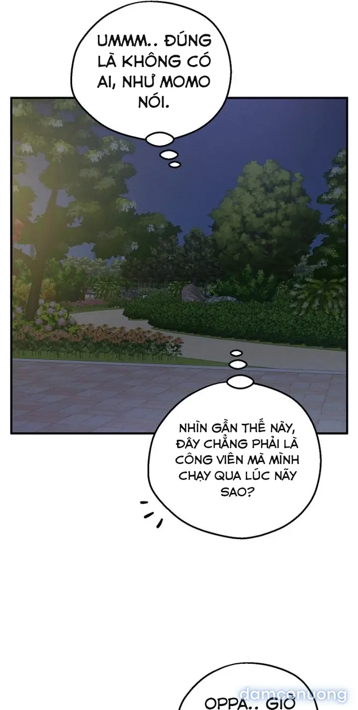 Trò chơi cờ bàn thú vị: 