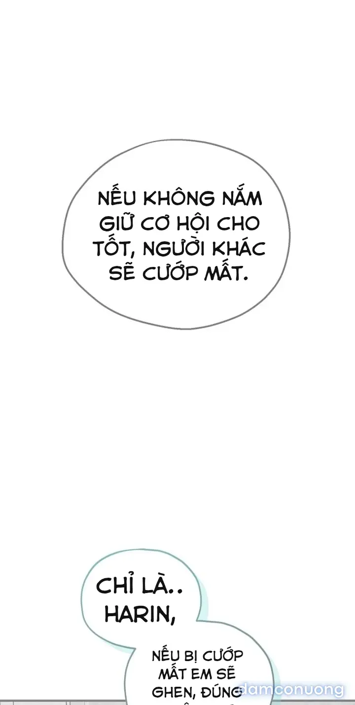 Trò chơi cờ bàn thú vị: 