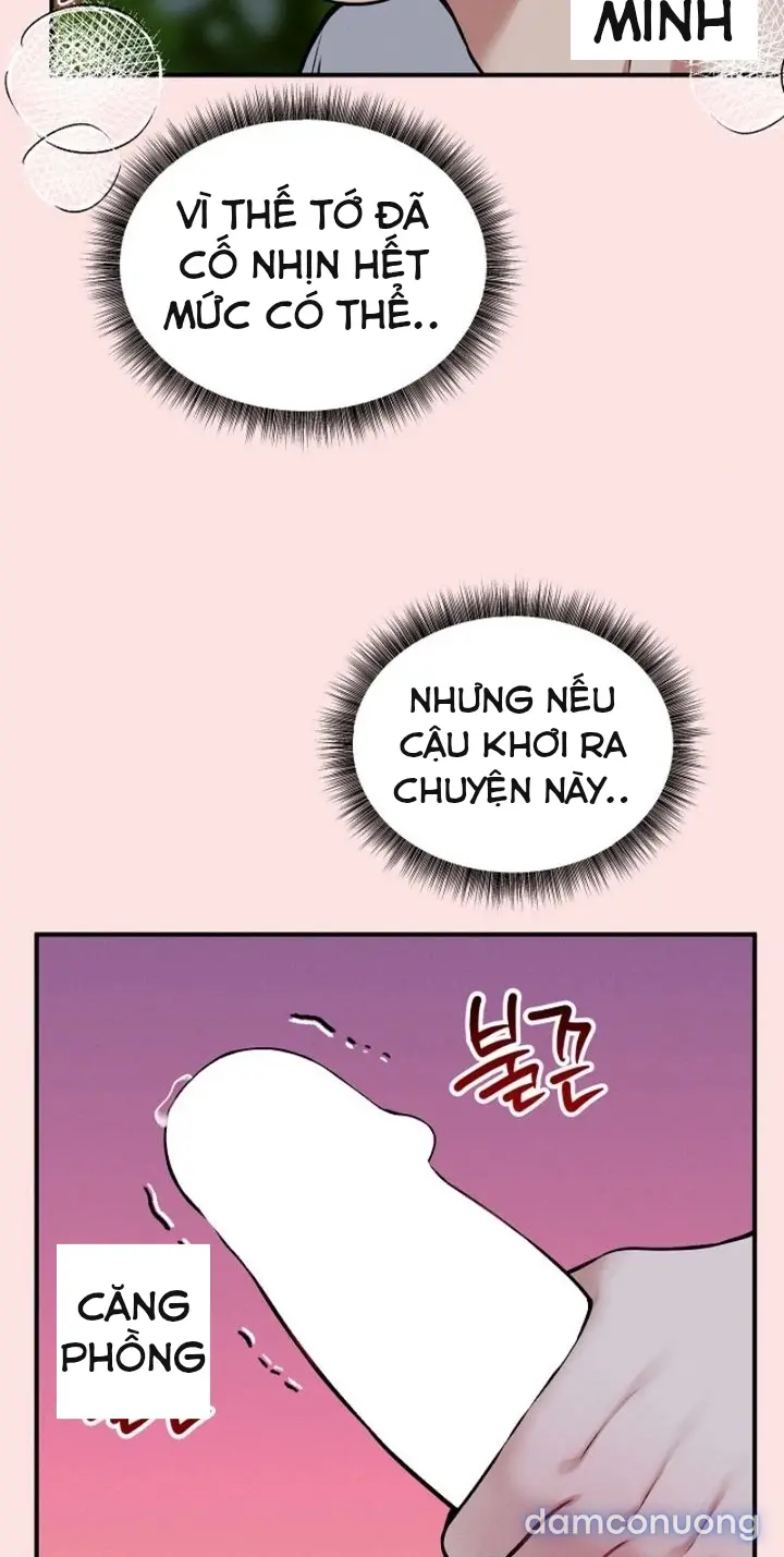 Trò chơi cờ bàn thú vị: 
