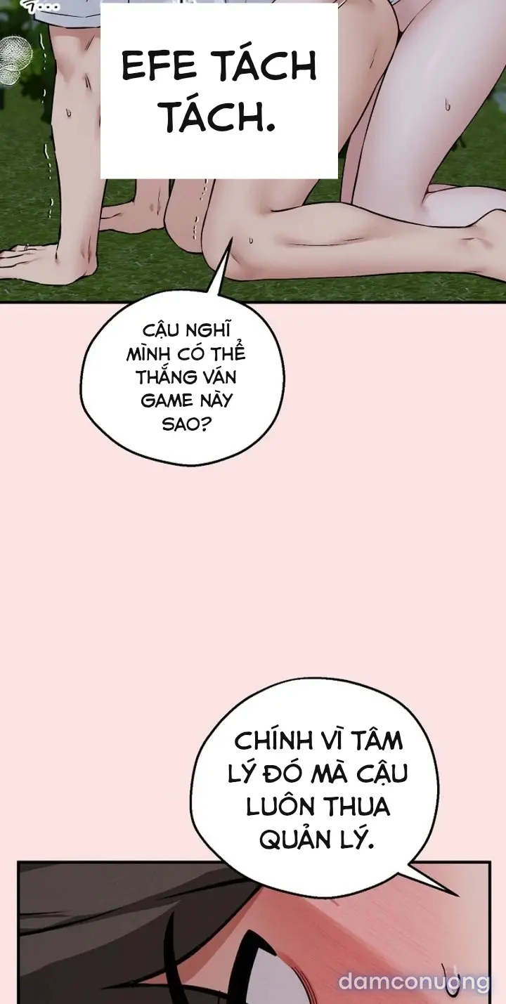 Trò chơi cờ bàn thú vị: 