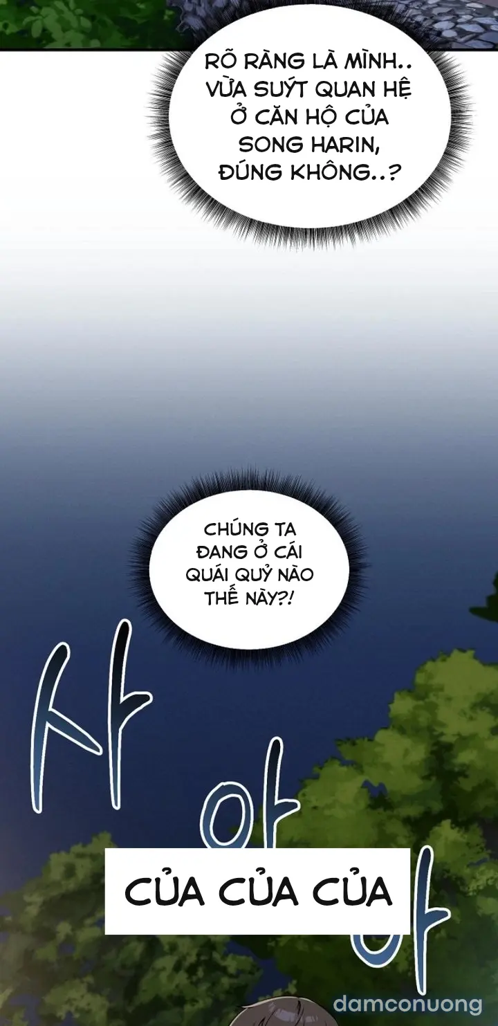 Trò chơi cờ bàn thú vị: 