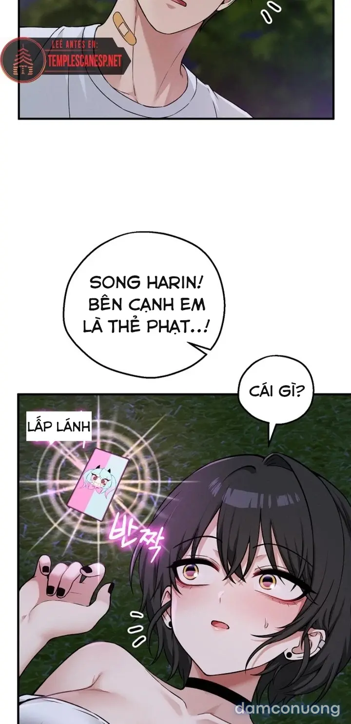 Trò chơi cờ bàn thú vị: 