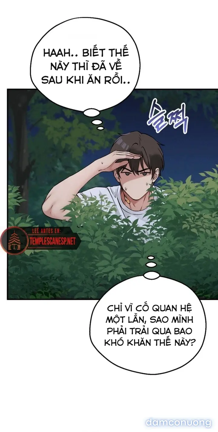 Trò chơi cờ bàn thú vị: 
