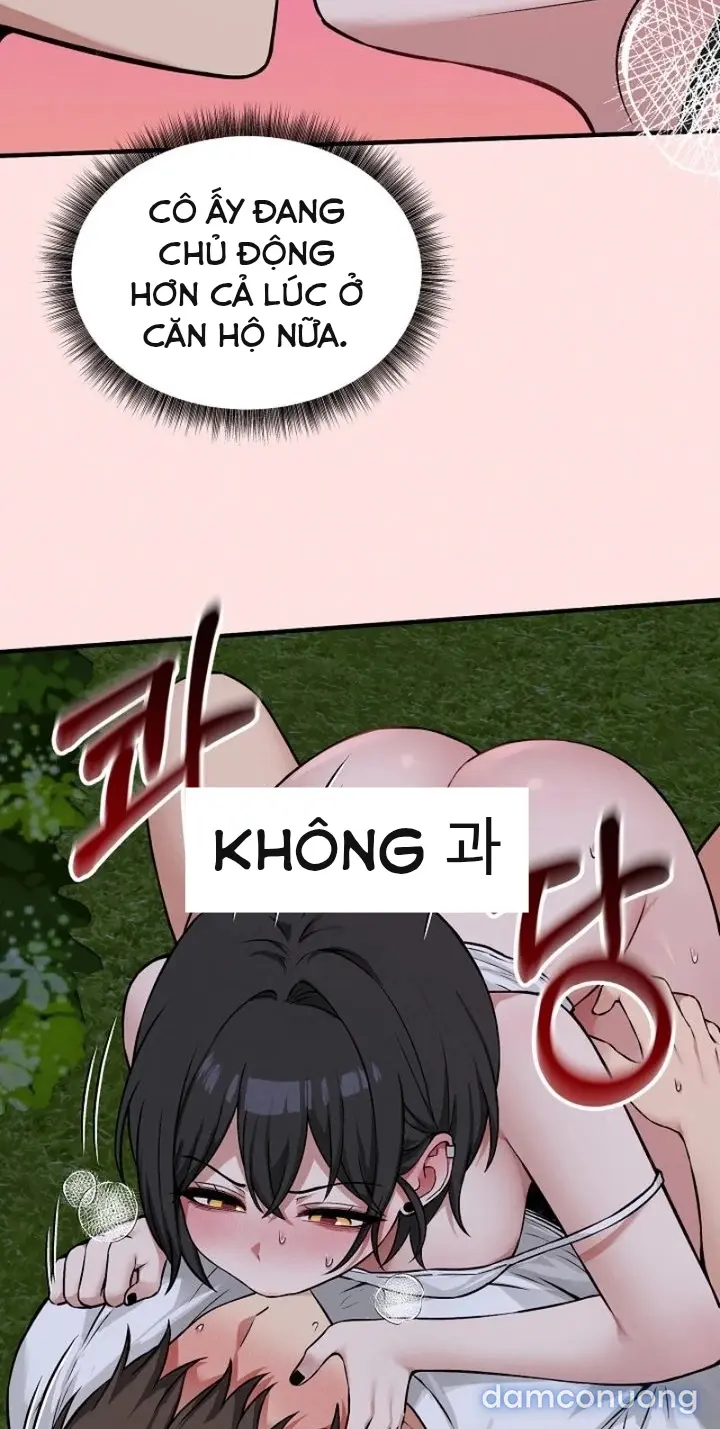 Trò chơi cờ bàn thú vị: 
