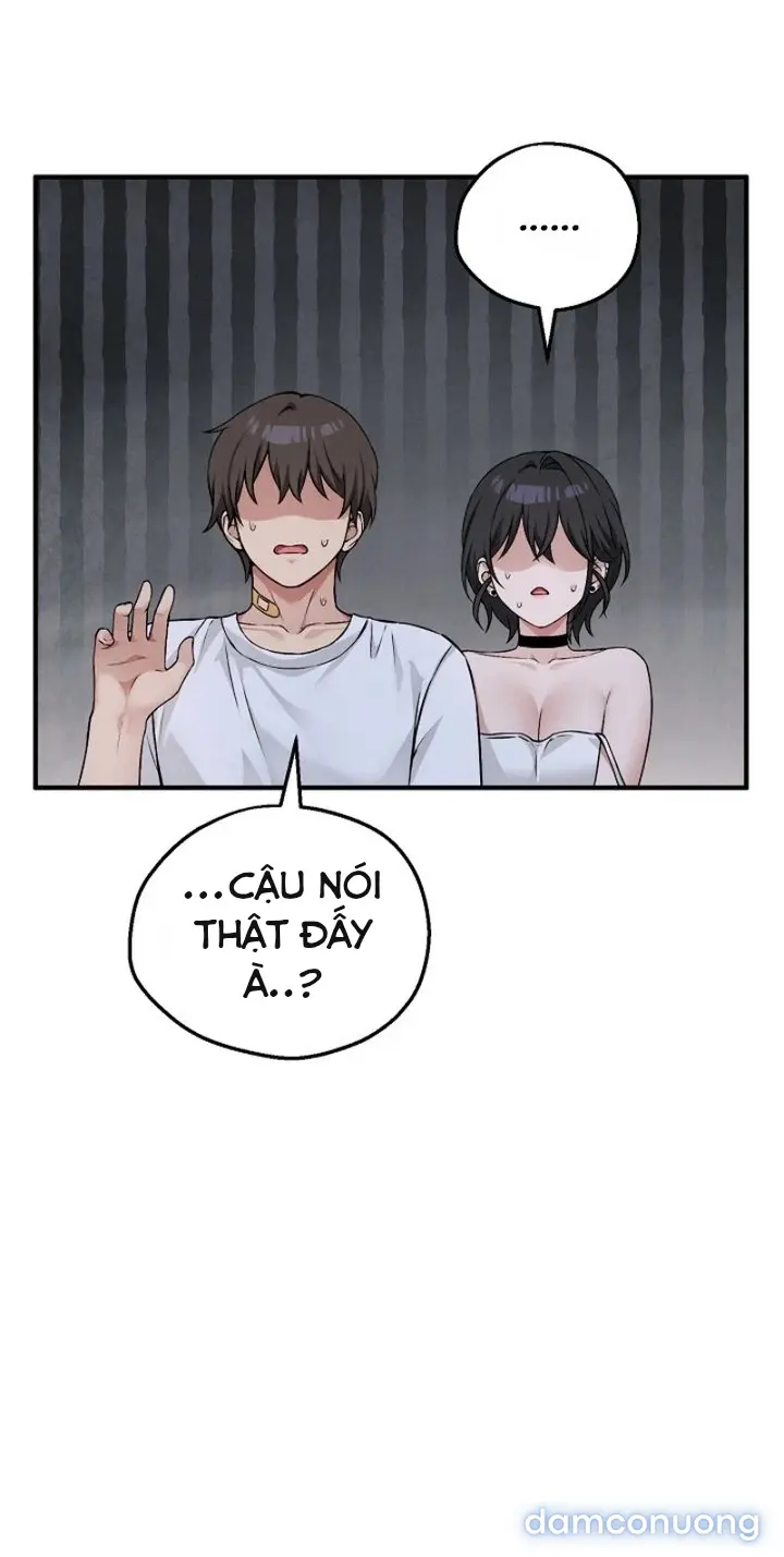 Trò chơi cờ bàn thú vị: 