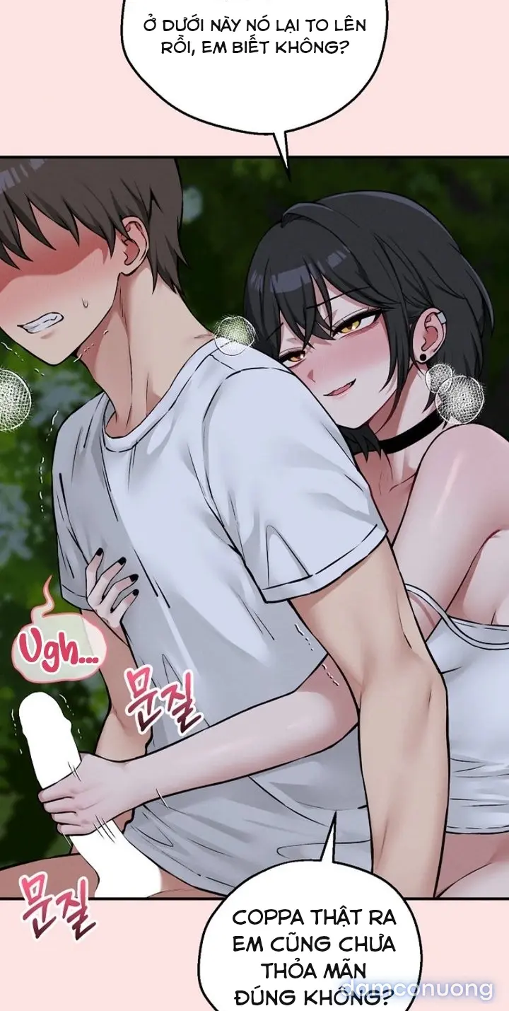 Trò chơi cờ bàn thú vị: 
